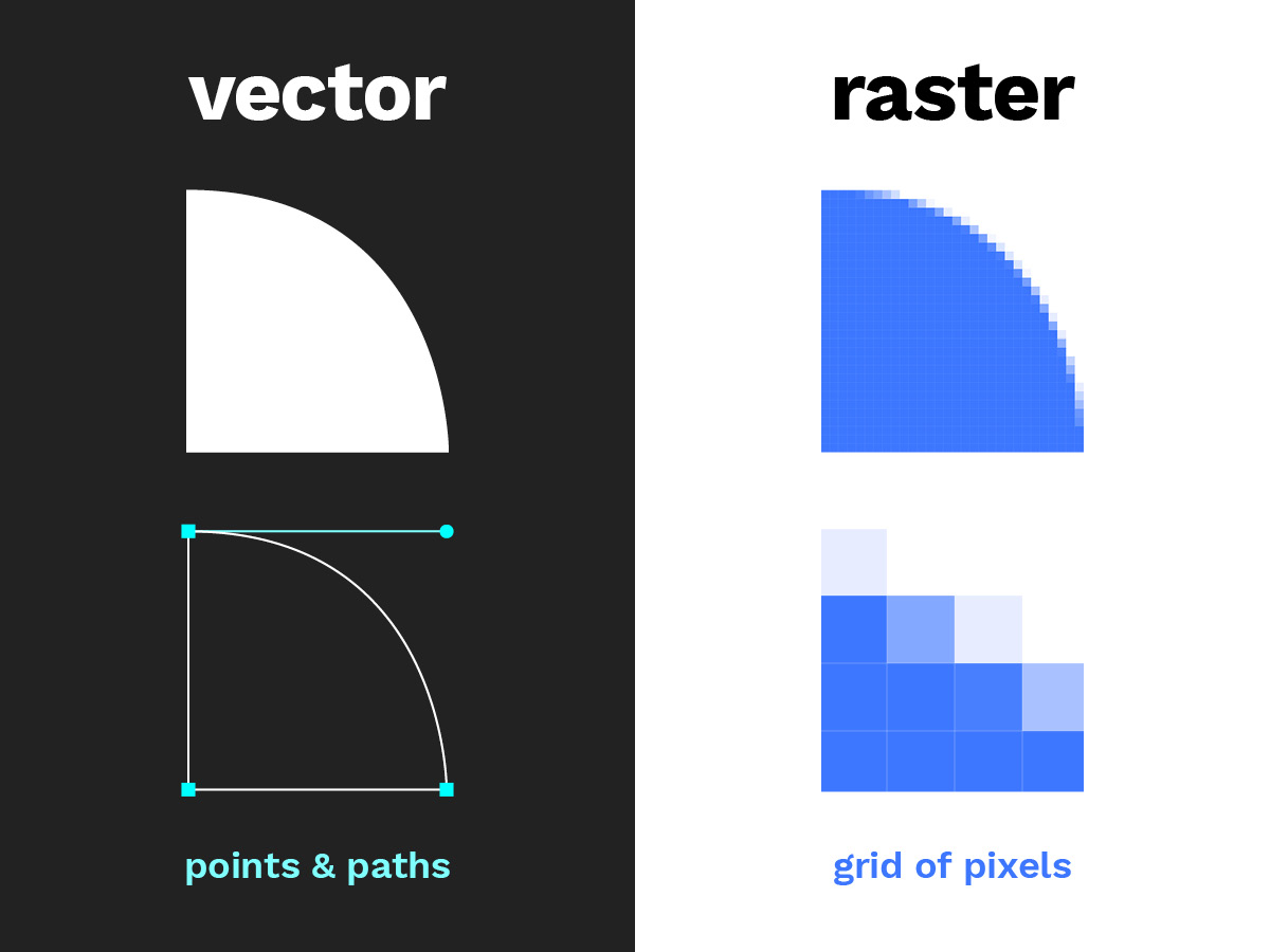 Vector and raster images