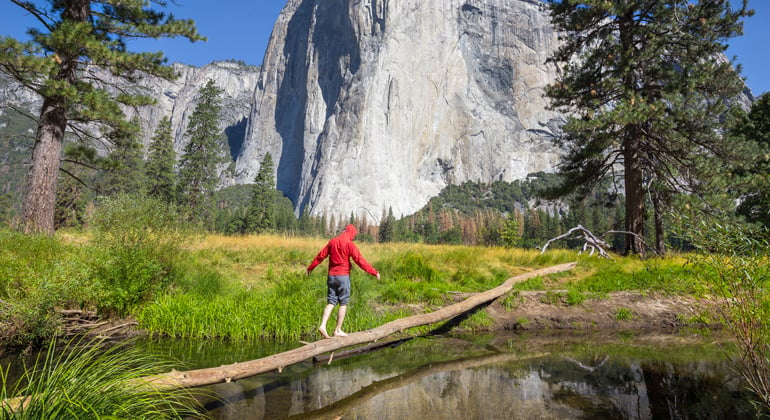 Person crossing river over fallen tree