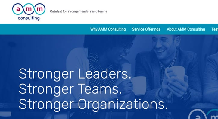 AMM Consulting website header