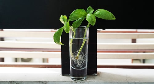 Marketing in the Age of Uncertainty